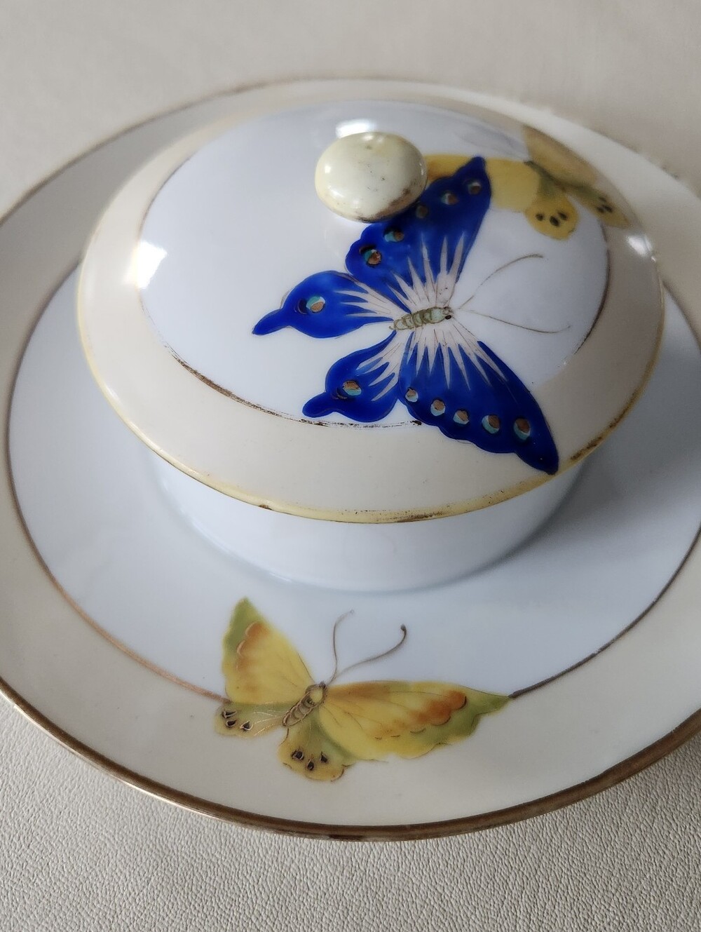 Antique Nippon Butterfly Pattern Condiment Set – Hand Painted